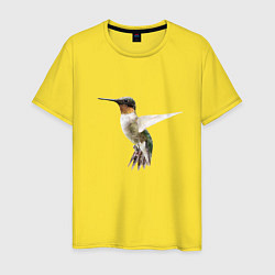 Мужская футболка Рубиновогорлый колибри