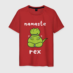 Мужская футболка Namaste Rex