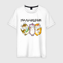 Мужская футболка Мальчишник полосатые коты