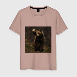 Мужская футболка Медведи гуляют по лесу