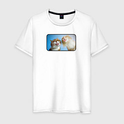 Мужская футболка Два кота