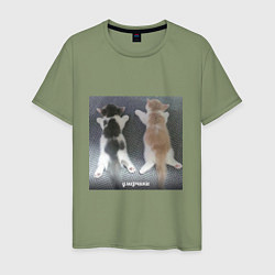 Мужская футболка Мемные коты умерчики