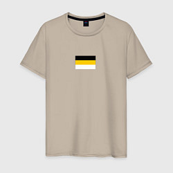 Мужская футболка Rus empire minimalism