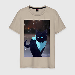 Мужская футболка Бездомный бог кот Ято
