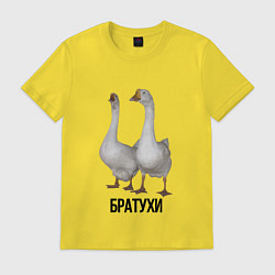 Мужская футболка Гуси братья