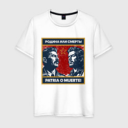 Мужская футболка Сталин и Че Гевара