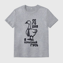 Футболка хлопковая мужская Забавный гусь в галстуке сегодня я серьезный гусь, цвет: меланж