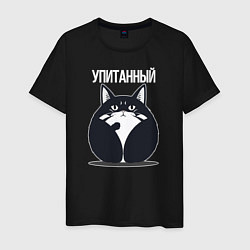 Мужская футболка Упитанный кот