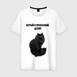 Мужская футболка Хитрый и прекрасный деспот