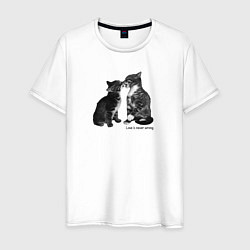 Мужская футболка Kiss the cats
