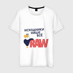 Мужская футболка Исходники наше всё raw