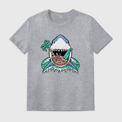 Футболка хлопковая мужская Акула и сервер, цвет: меланж