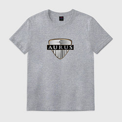 Мужская футболка AURUS logo auto