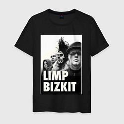 Мужская футболка Limp Bizkit all