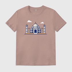 Мужская футболка Тадж-Махал