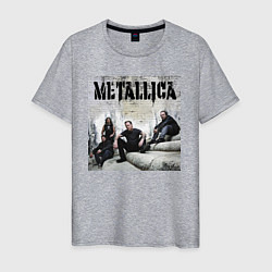 Мужская футболка Metallica - cool guys