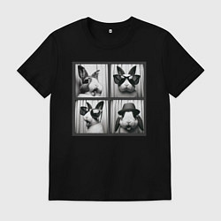 Футболка хлопковая мужская Кролик в фотобудке, цвет: черный