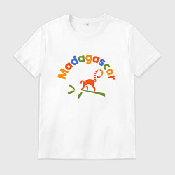Футболка хлопковая мужская Лемур в Мадагаскаре, цвет: белый