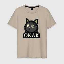 Мужская футболка Кот в капюшоне, окак, мем