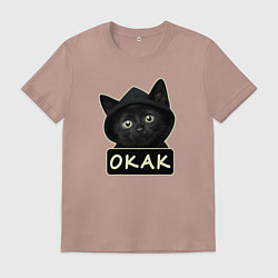 Футболка хлопковая мужская Кот в капюшоне, окак, мем, цвет: пыльно-розовый