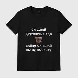 Мужская футболка Два медвежонка: со мной дружить надо