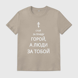 Мужская футболка За правду горой белый арт