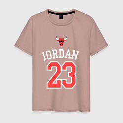 Мужская футболка Jordan 23