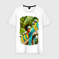 Мужская футболка Экзотические попугаи