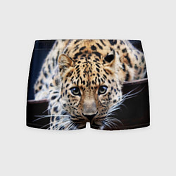Трусы-боксеры мужские Дикая кошка, цвет: 3D-принт