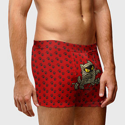 Трусы-боксеры мужские Кот мумия, цвет: 3D-принт — фото 2