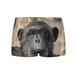 Трусы-боксеры мужские Глаза гориллы, цвет: 3D-принт