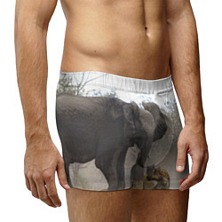 Трусы-боксеры мужские Гиены охотятся на слона, цвет: 3D-принт — фото 2