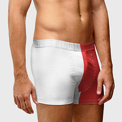 Трусы-боксеры мужские Тодороки Шото, цвет: 3D-принт — фото 2