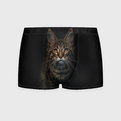 Мужские трусы Кот усатый