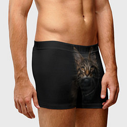 Трусы-боксеры мужские Кот усатый, цвет: 3D-принт — фото 2