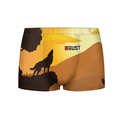 Трусы-боксеры мужские Rust, цвет: 3D-принт