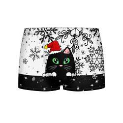 Трусы-боксеры мужские Новогодний кот в колпаке Санты, цвет: 3D-принт