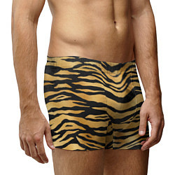 Трусы-боксеры мужские Текстура шкуры тигра, цвет: 3D-принт — фото 2