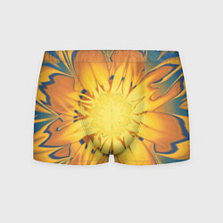Трусы-боксеры мужские Солнечный цветок Абстракция 535-332-32, цвет: 3D-принт