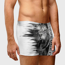 Трусы-боксеры мужские Peugeotlion, цвет: 3D-принт — фото 2