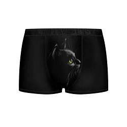 Трусы-боксеры мужские Черный кот на черном фоне, цвет: 3D-принт