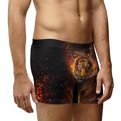 Трусы-боксеры мужские Огненный тигр Сила огня, цвет: 3D-принт — фото 2