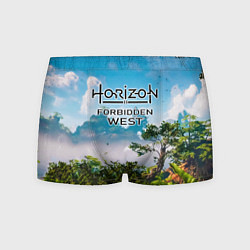 Трусы-боксеры мужские Horizon Forbidden West Хоризон Запретный Запад, цвет: 3D-принт