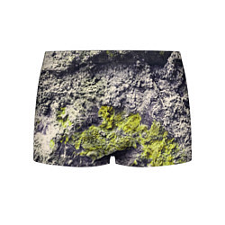Трусы-боксеры мужские Каменная Стена С Мхом, цвет: 3D-принт