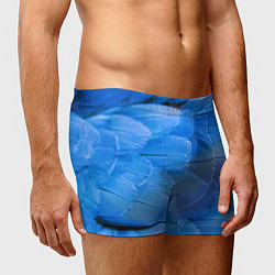 Трусы-боксеры мужские Текстура с голубыми перьями, цвет: 3D-принт — фото 2