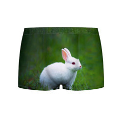 Трусы-боксеры мужские Кролик на фоне травы, цвет: 3D-принт