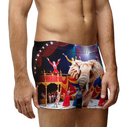 Трусы-боксеры мужские Слон с цирке, цвет: 3D-принт — фото 2