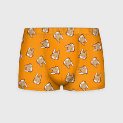 Мужские трусы Тибетская лиса-пофигистка