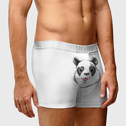 Трусы-боксеры мужские Влюблённый панда, цвет: 3D-принт — фото 2