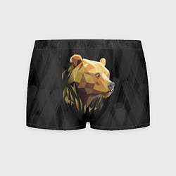 Трусы-боксеры мужские Русский бурый медведь 2024, цвет: 3D-принт